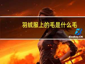 羽绒服上的毛是什么毛