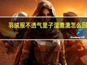 羽绒服不透气里子湿漉漉怎么回事
