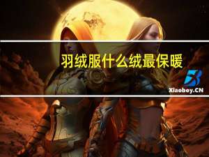 羽绒服什么绒最保暖