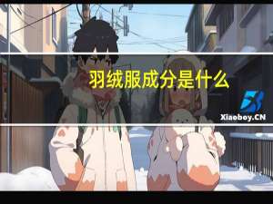 羽绒服成分是什么