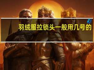 羽绒服拉锁头一般用几号的