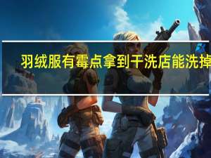 羽绒服有霉点拿到干洗店能洗掉吗