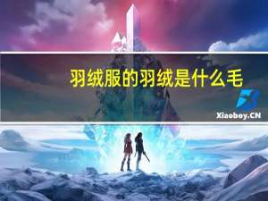 羽绒服的羽绒是什么毛