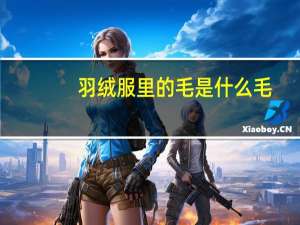 羽绒服里的毛是什么毛