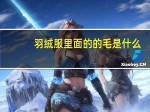 羽绒服里面的的毛是什么