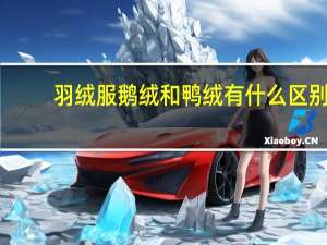 羽绒服鹅绒和鸭绒有什么区别