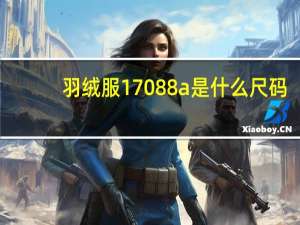 羽绒服170 88a是什么尺码