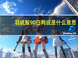 羽绒服90白鸭绒是什么意思