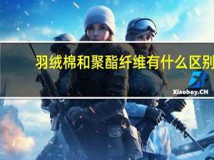 羽绒棉和聚酯纤维有什么区别