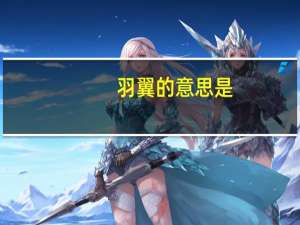 羽翼的意思是（羽翼-词语概念简介）