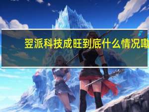 翌派科技成旺 到底什么情况嘞
