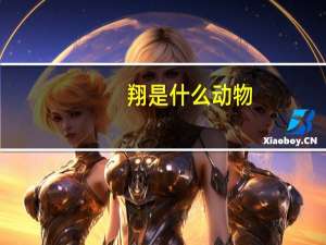 翔是什么动物