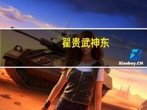 翟贵武神东（翟贵武）