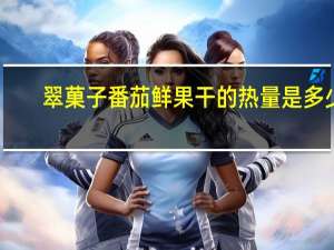 翠菓子 番茄鲜果干的热量是多少