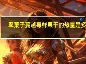 翠菓子 蔓越莓鲜果干的热量是多少