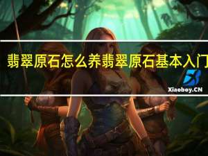 翡翠原石怎么养 翡翠原石基本入门介绍