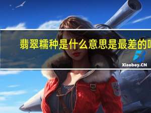 翡翠糯种是什么意思是最差的吗