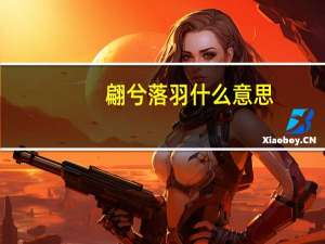 翩兮落羽什么意思