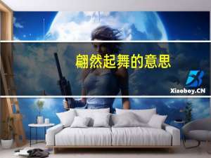 翩然起舞的意思