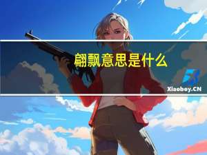 翩飘意思是什么