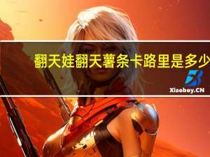 翻天娃 翻天薯条卡路里是多少