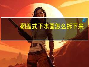 翻盖式下水器怎么拆下来