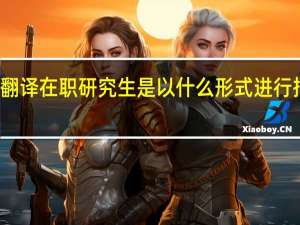 翻译在职研究生是以什么形式进行招生的