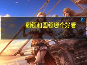 翻领和圆领哪个好看