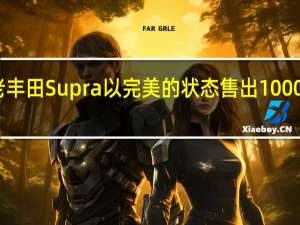 老丰田Supra以完美的状态售出1000万卢布
