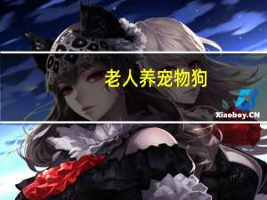 老人养宠物狗