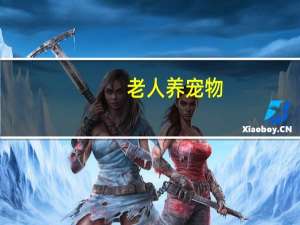 老人养宠物