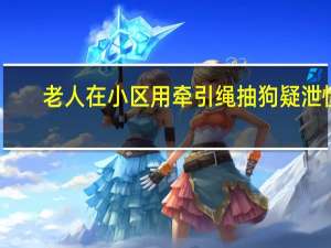 老人在小区用牵引绳抽狗疑泄愤,老人在小区用牵引绳抽狗疑泄愤犯法吗