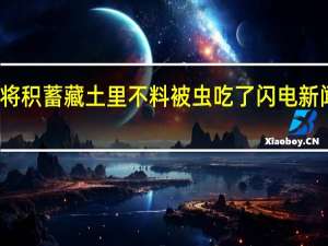 老人将积蓄藏土里 不料被虫吃了 闪电新闻深度报道