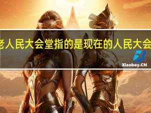 老人民大会堂指的是现在的人民大会堂对吗