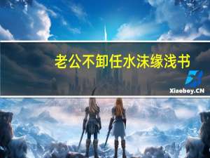 老公不卸任水沫缘浅书（老公不卸任）