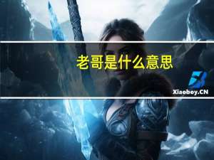 老哥是什么意思