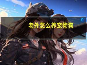 老外怎么养宠物狗