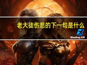 老大徒伤悲的下一句是什么