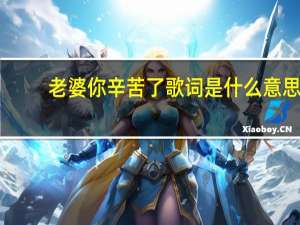 老婆你辛苦了歌词是什么意思（老婆你辛苦了老婆你辛苦了是什么歌）
