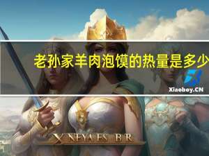 老孙家 羊肉泡馍的热量是多少