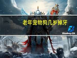 老年宠物狗几岁掉牙