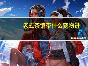 老式茶馆带什么宠物进