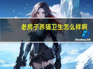 老房子养猫卫生怎么样啊