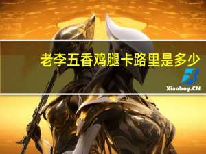 老李 五香鸡腿卡路里是多少