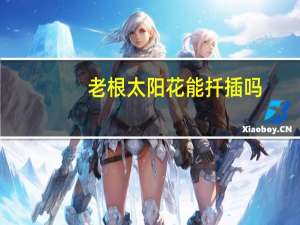 老根太阳花能扦插吗