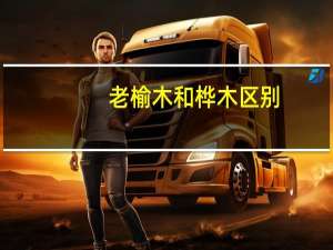 老榆木和桦木区别