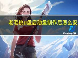 老毛桃u盘启动盘制作后怎么安装（老毛桃u盘启动盘）
