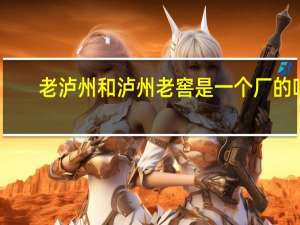 老泸州和泸州老窖是一个厂的吗