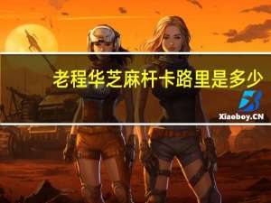 老程华 芝麻杆卡路里是多少