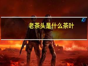 老茶头是什么茶叶